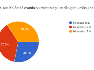 Kalėdinė dvasia ir miesto eglutė